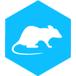 ratos