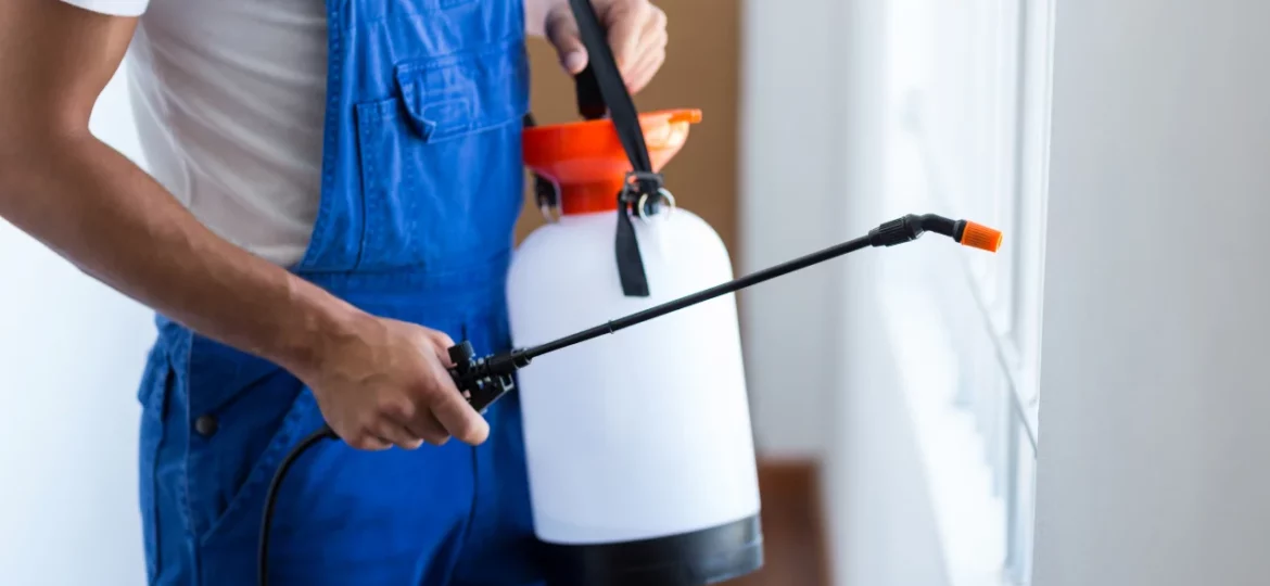 controlo-de-pragas